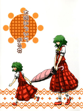 绕着太阳转的花