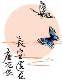 长安还在唐花堡