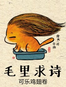 毛里求诗——可乐鸡翅卷