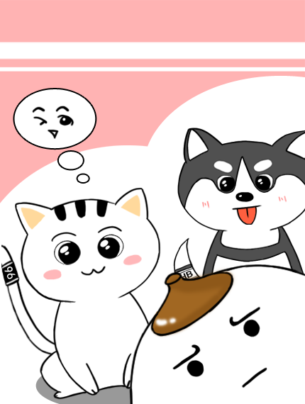 萌宠日常之天才猫咪