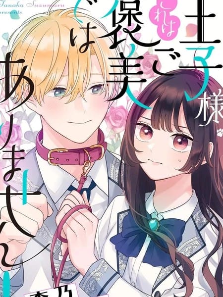 王子殿下，这个不是奖励！